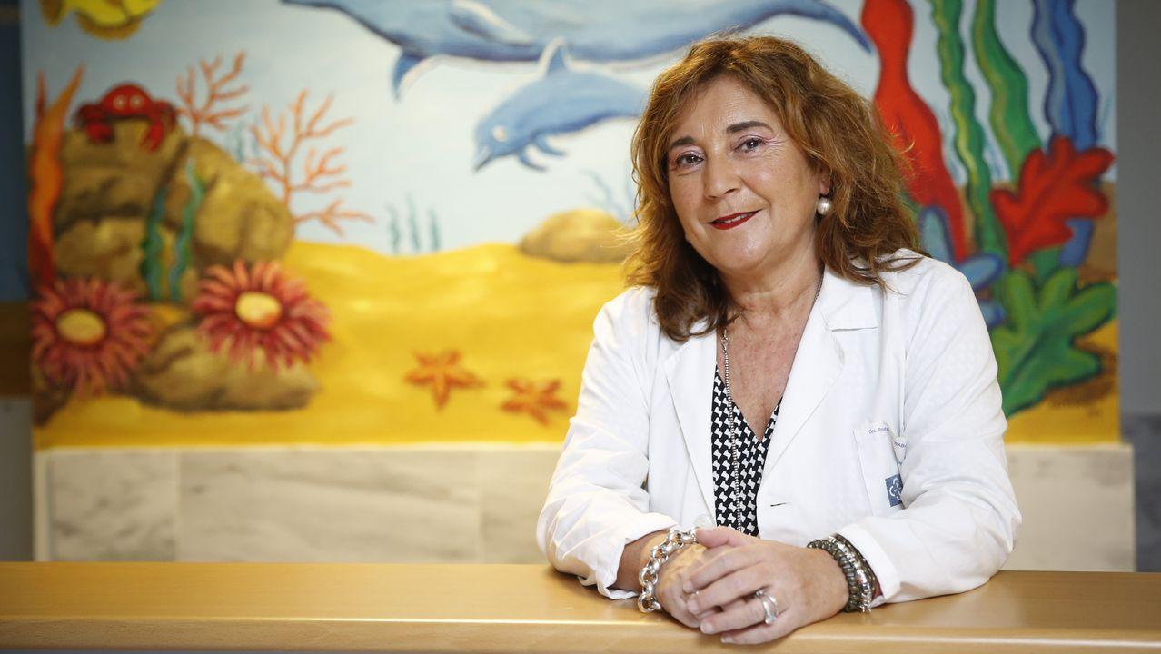 Quitar el azúcar y los ultraprocesados de los colegios es prevenir enfermedades futuras